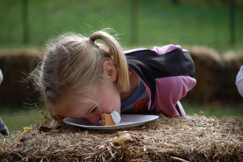 Pumpkin Patch - pie eating