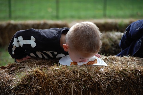 Pumpkin Patch - pie eating 2