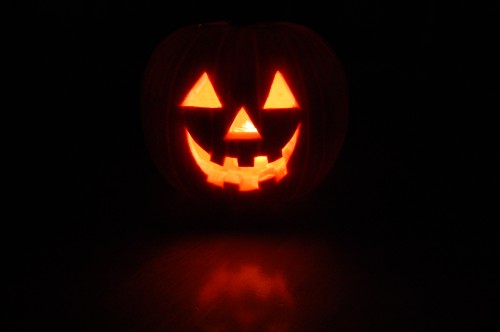 Pumpkin Patch - Jack o' Lantern
